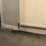 radiator leak